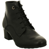 Lady Gabor  Stiefeletten Lady Gabor  - 52-845-57