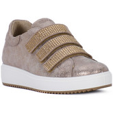 IgI CO  Sneaker METAL TAUPE