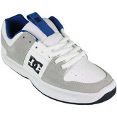 DC Shoes  Sneaker Lynx zero adys100615 xwbs